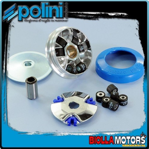 241 311 variatore - 241.311, polini