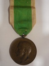 Medaglia di benemerenza per il