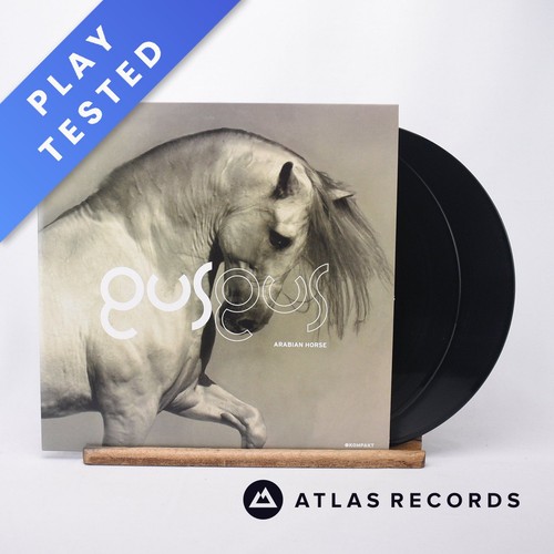 Gusgus arabian horse - arabian, repress