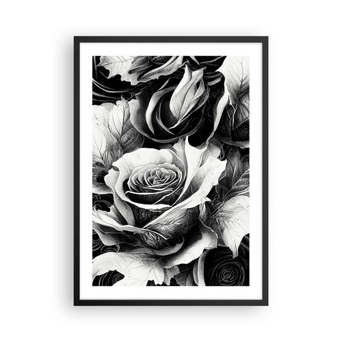 Poster 50x70cm fiori rose - poster,