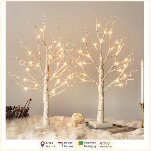Elegant 2ft birch tree with - tree, 24