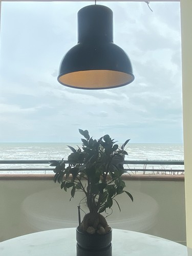 Lampadario lampada - lampadario, a