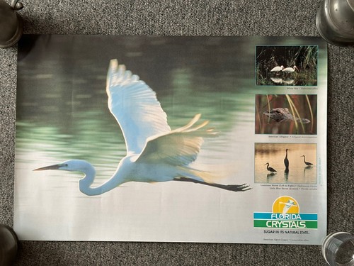 Poster vintage florida - poster,