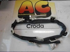 Carica airbag tetto tendina