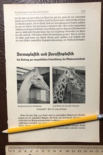 Dermoplastica Paraffina