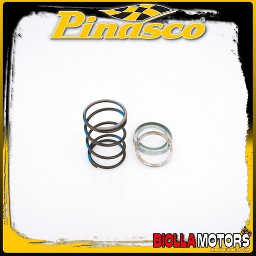 10412024 spring slider pinasco - spring,