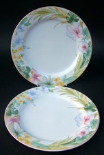 Piatti da pranzo Villeroy &