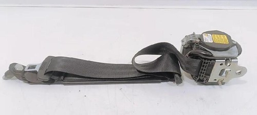 735584037 cintura sicurezza - di,
