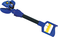 Pesce Chirurgo Blu Di