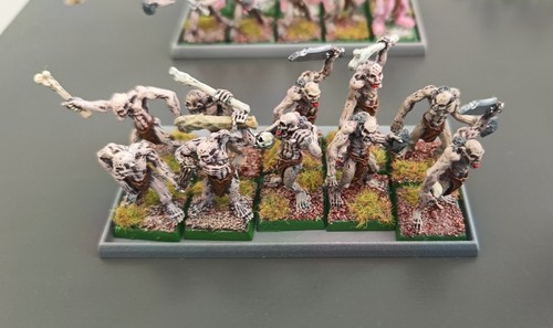 Warhammer vampire counts - ,