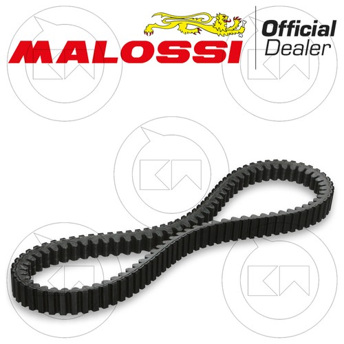 Malossi 6113027 cinghia - cinghia, di