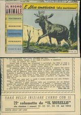 R@R@ FIGURINA DEL REGNO