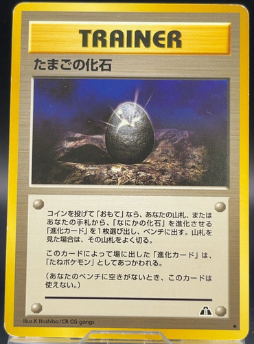 Fossil egg pokmon trainer anni - egg,