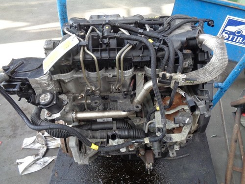 Motore ford fusion - motore, 1.6