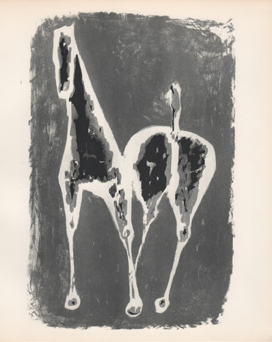 Marino marini cavallo - -,