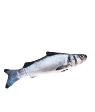 Gioco a forma di branzino con