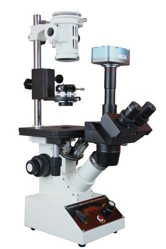 Microscopio contrasto di - microscopio,