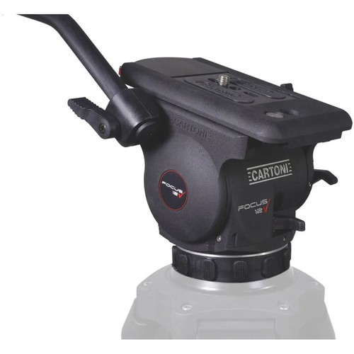 Cartoni focus 100 testa - cartoni,