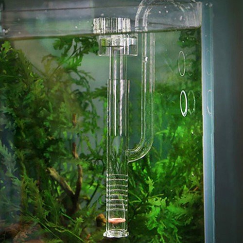 Skimmer superficie acqua