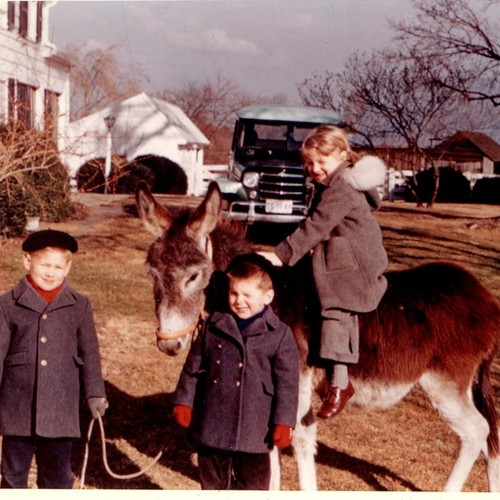 1959 bambini cavalcando - bambini,