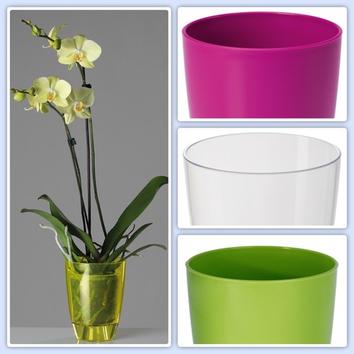 Vaso per orchidee rotondo