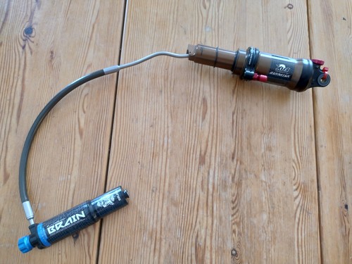 Cavalletto float brain - r,