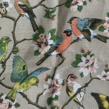 Vintage RSPB Birds lino