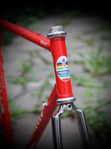 Telaio pinarello treviso - telaio,