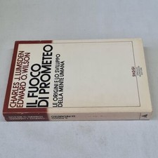 (Lumsden Wilson) il fuoco di