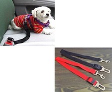 CINTURA GUINZAGLIO DI