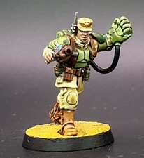 USA Duty Paid dipinto Cadian