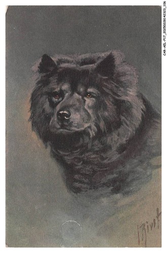 Car aelp17 0975 - car-aelp17-0975-cane, un