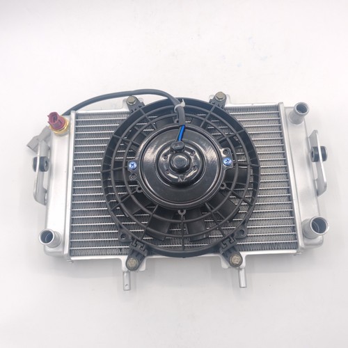 Electromotor radiator assy - radiator,