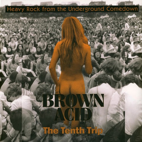 Brown acid the - v.a.,