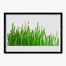 70x50 Cornice di legno MDF con