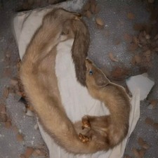 Scaldacollo pelliccia vera - scaldacollo,