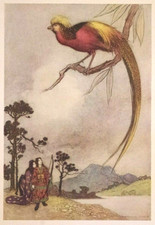 SAMURAI KYUDO ARCIERE E