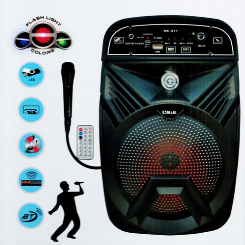 Cassa amplificata karaoke - cassa,