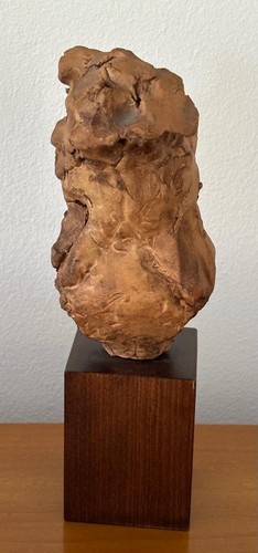 Scultura busto terracotta - in,