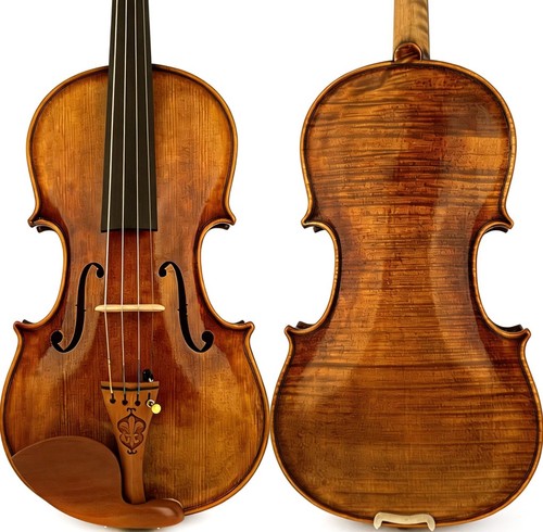 T31 master violino antico - t31+,