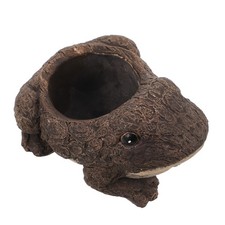  Vasetto Piante Grasse Vaso