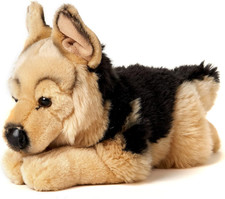 - Pastore Tedesco, Sdraiato