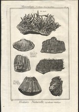 1768 Gravure originale