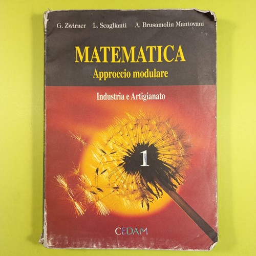 Matematica approccio modulare - approccio,