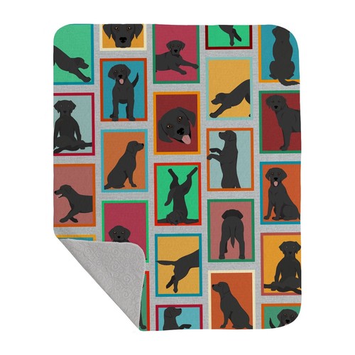 Lotto coperta trapuntata nera - lotto,