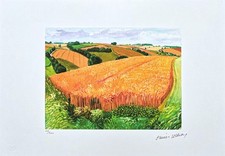 DAVID HOCKNEY - Un campo più