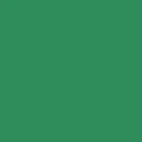 Pittura antimuffa vernice - pittura,