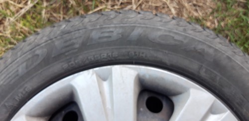 Gomme invernali 205 - 55, +
