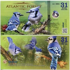 ATLANTIC FOREST 31 AVES