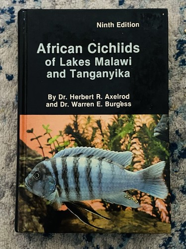 African cichlids lake - african, of